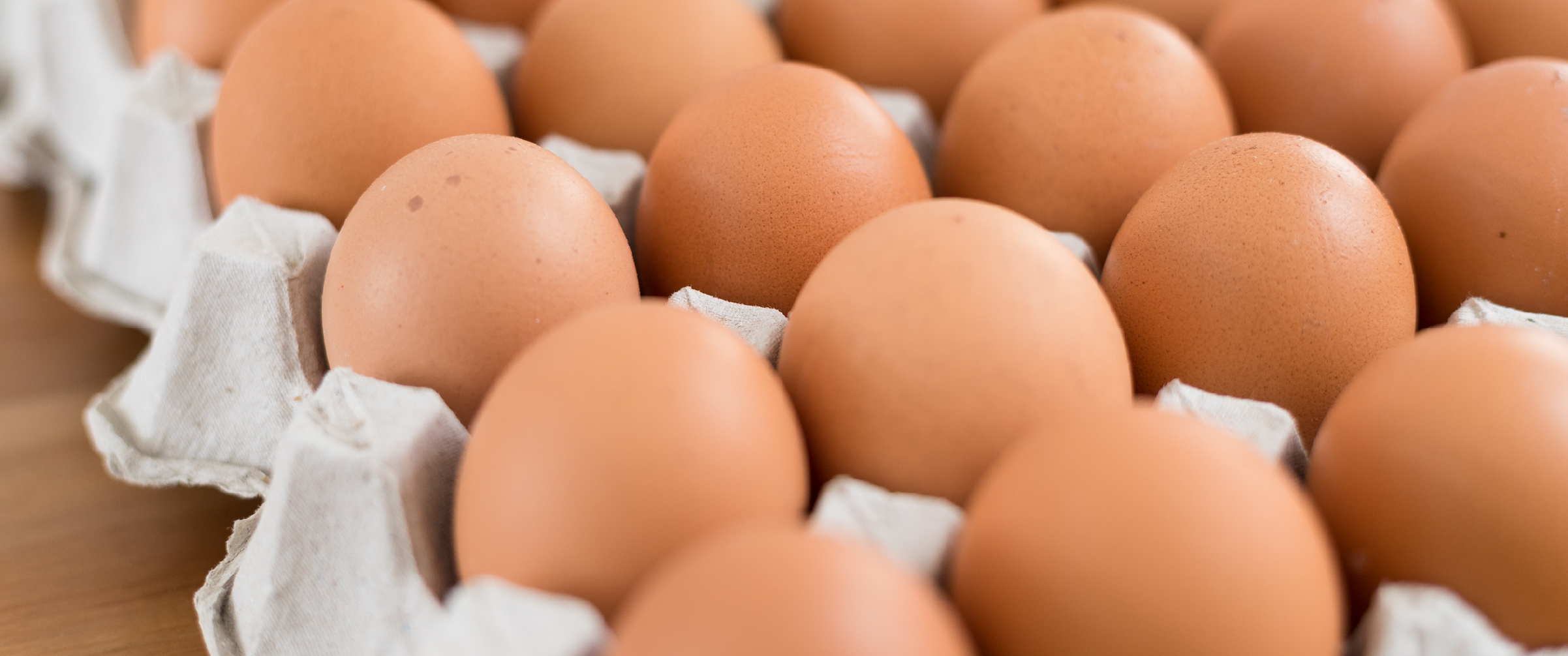Empresa eleva padrão de qualidade com novo método de desinfecção de cascas de ovos